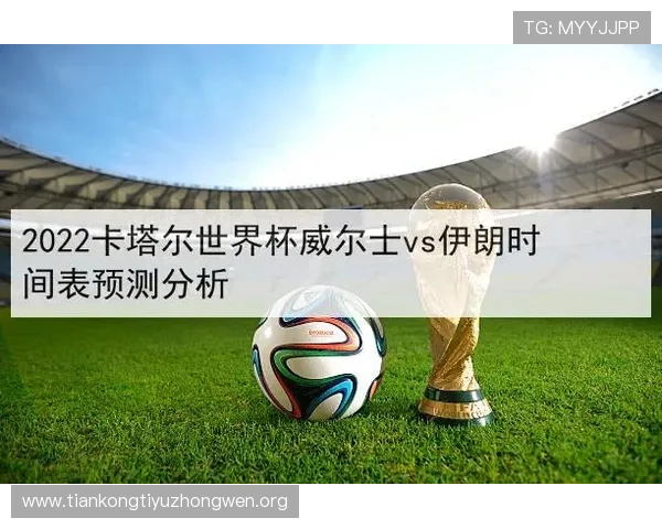世界杯伊朗对比利时比赛电视直播频道及观看指南
