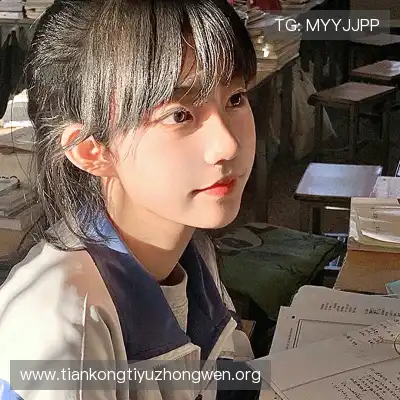 何鹰辉